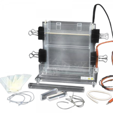 六一生物單垂直電泳儀DYCZ-22A