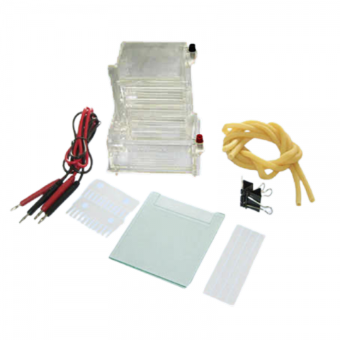 六一生物小型單垂直電泳儀DYCZ-23A