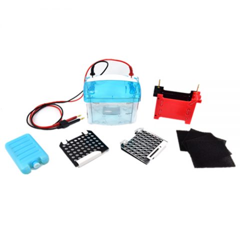 六一生物轉印電泳儀DYCZ-TRANS2