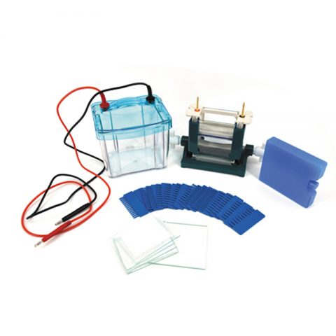 六一生物雙垂直電泳儀DYCZ-25D