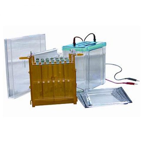 六一生物雙向電泳儀DYCZ-26C