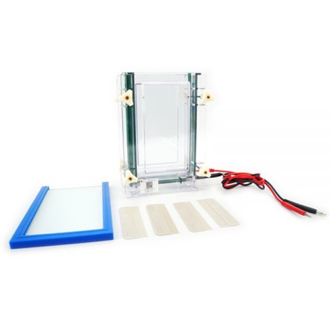 六一生物雙板夾芯式垂直電泳儀（大）DYCZ-28D