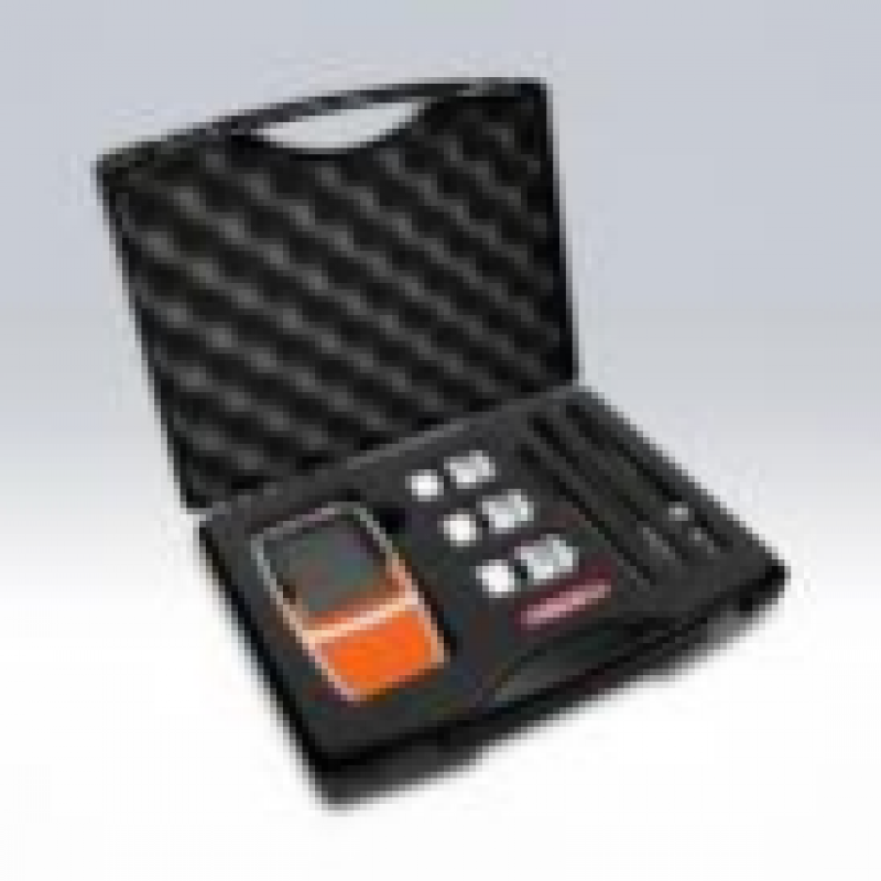 上海般特Bante901P-CN便攜式多參數水質(zhì)測量?jì)x